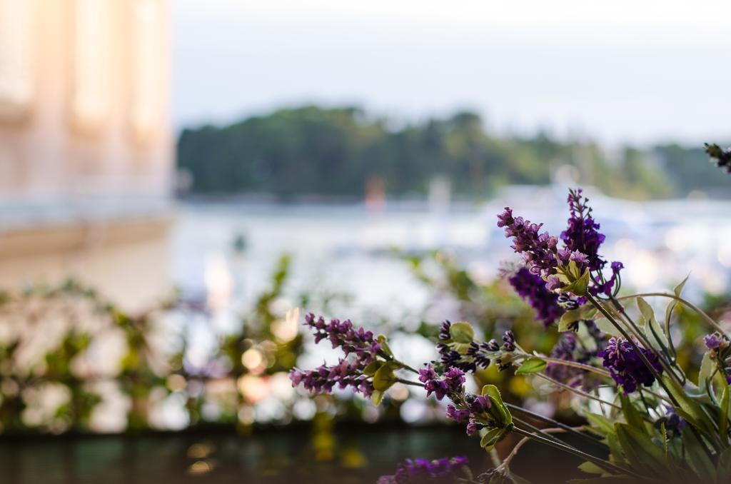 Apartment Noemi Rovinj Eksteriør billede